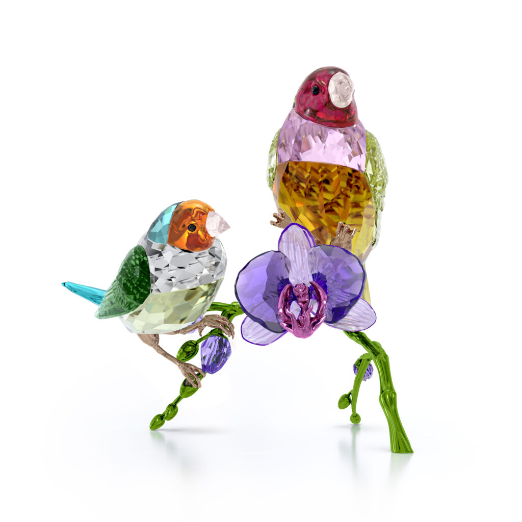 Idyllia SCS Ετήσια Έκδοση 2024 Σπίνοι Γκούλντιαν