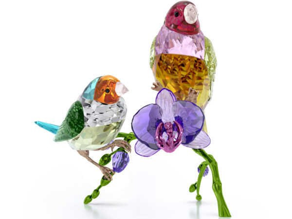 Idyllia SCS Ετήσια Έκδοση 2024 Σπίνοι Γκούλντιαν